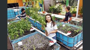 Joven de 15 años lidera proyecto acuaponico