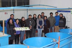 Chile: Escuelas sustentables con acuiponía